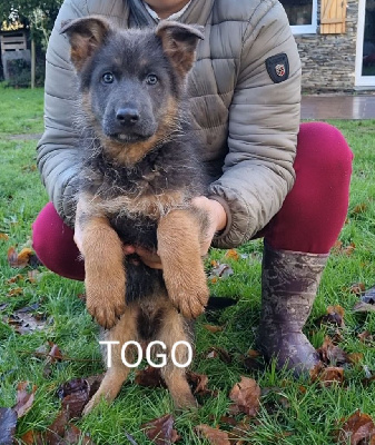 Togo