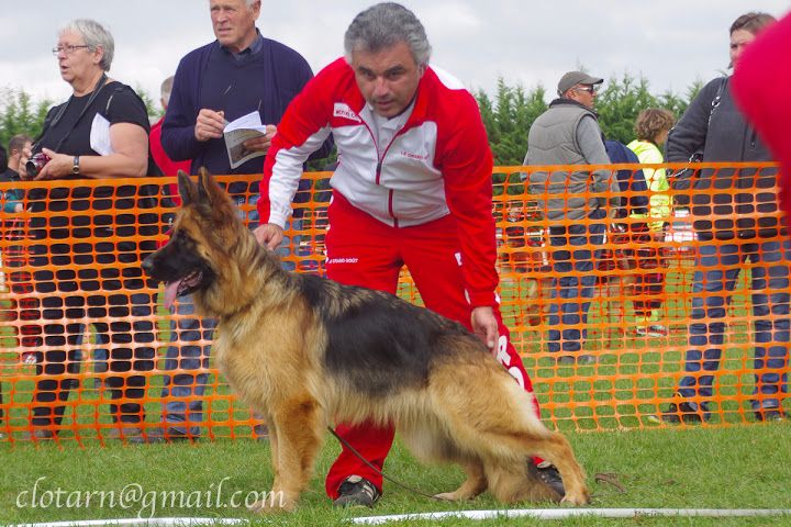 CH. Jiska Du grand gout