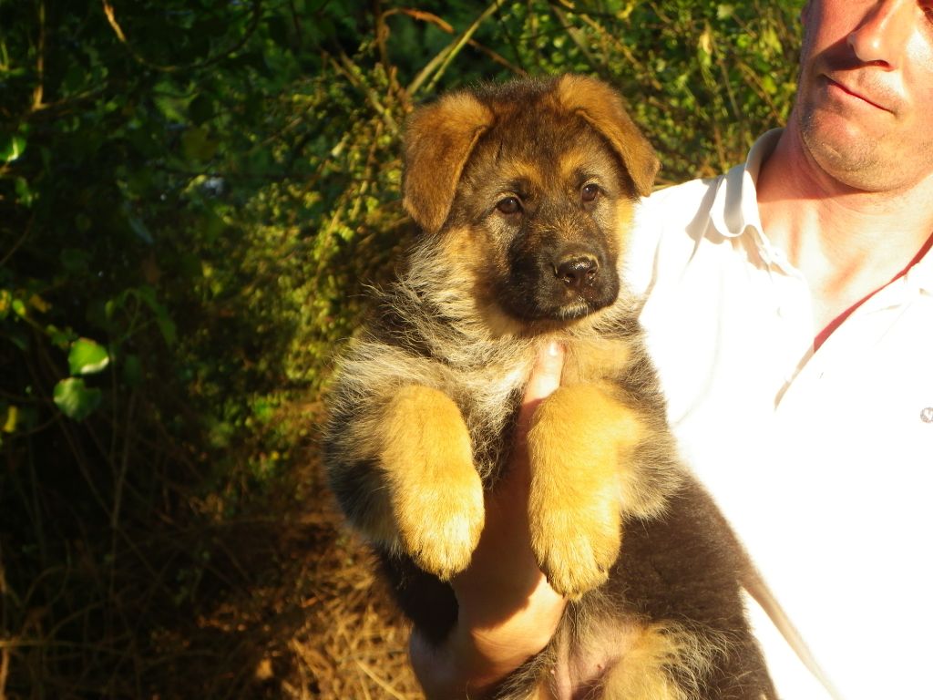 LES BB de Luna et Jeck